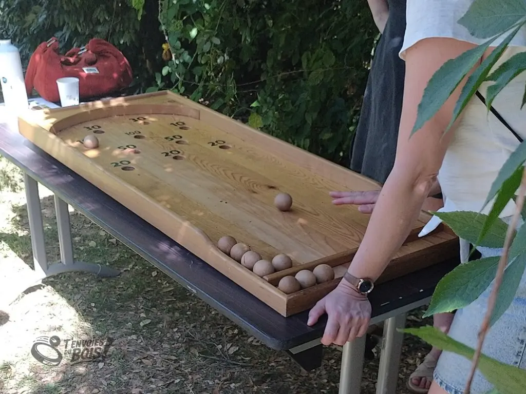 Un gros plan du billard japonais lors d'une après-midi ensoleillée. Scène capturée en juin 2026.